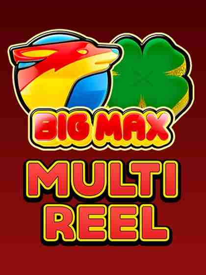 Big Max Multi Reel