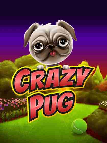 Crazy Pug