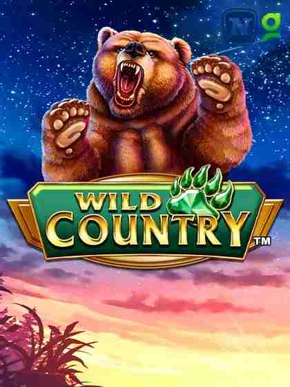 Wild Country