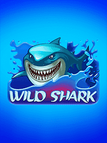 Wild Shark