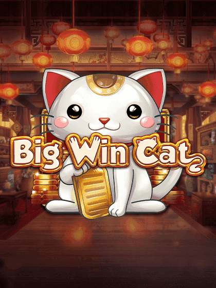 Big Win Cat