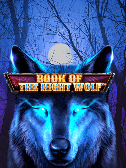 Book Of The Night Wolf