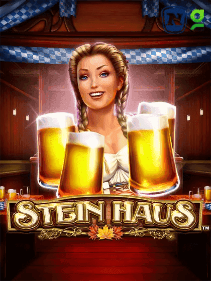 Stein Haus