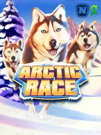 Arctic Race