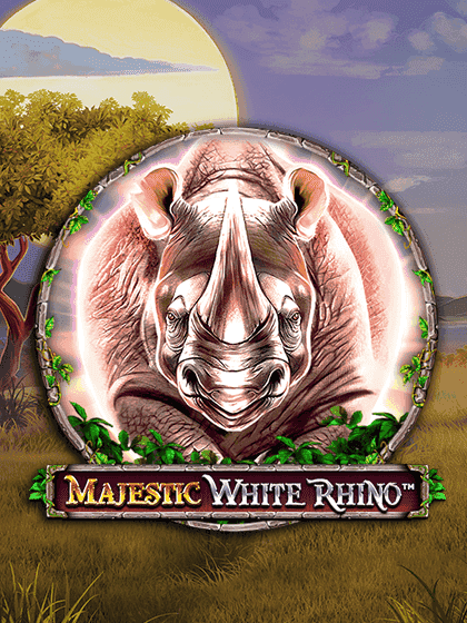 Majestic White Rhino