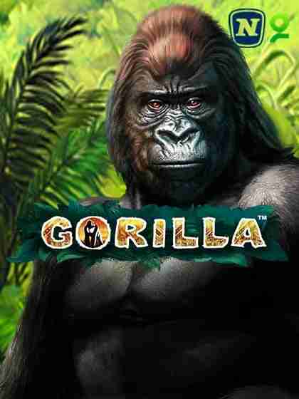 Gorilla