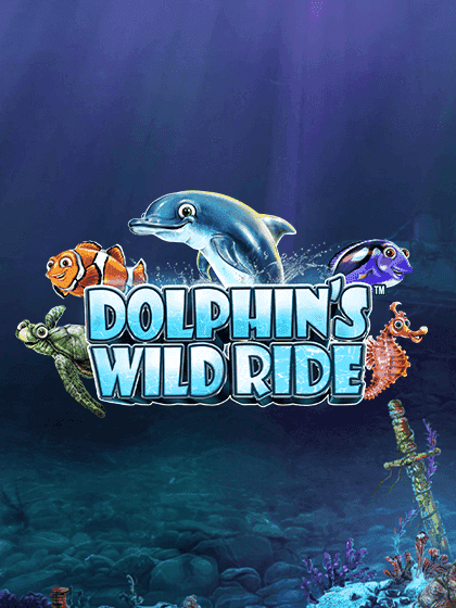 Dolphins Wild Ride