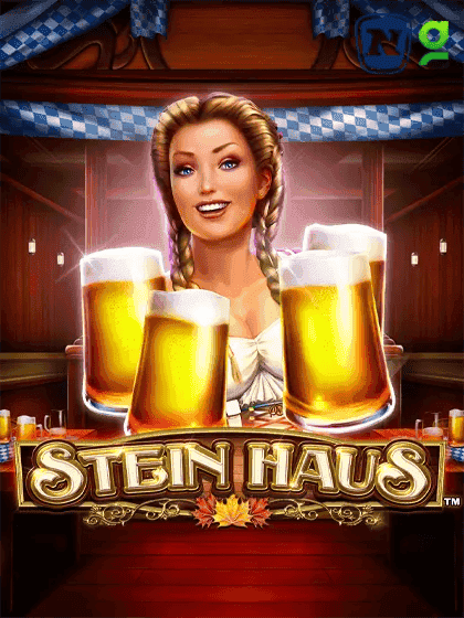 Stein Haus