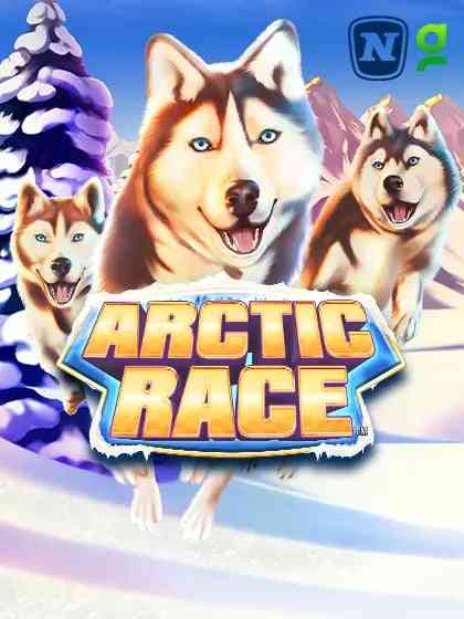 Arctic Race