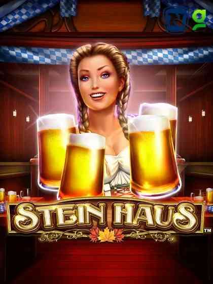 Stein Haus