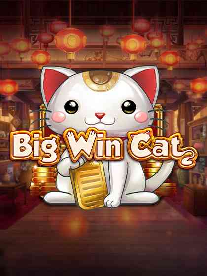 Big Win Cat
