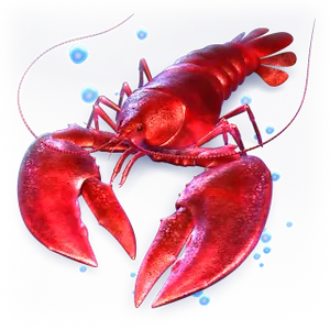 Hummer: Cash Connection Dolphin’s Pearl