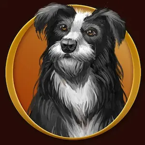 Symbol Hund