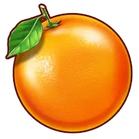 Orange Symbol Play'n GO