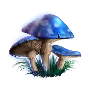 Pilze