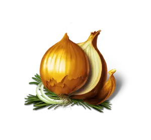 Zwiebel