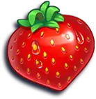 Erdbeere
