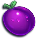 Pflaume 