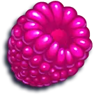 Himbeere