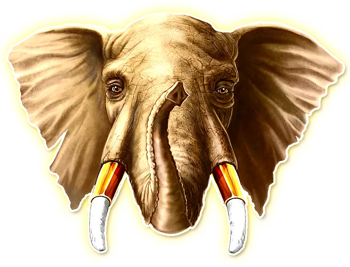 Diamond Link Mighty Elephant Elefant Symbol