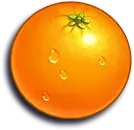 Jammin Jars Symbol Orange